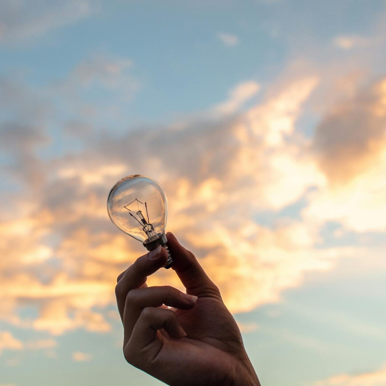 person holding clear light bulb